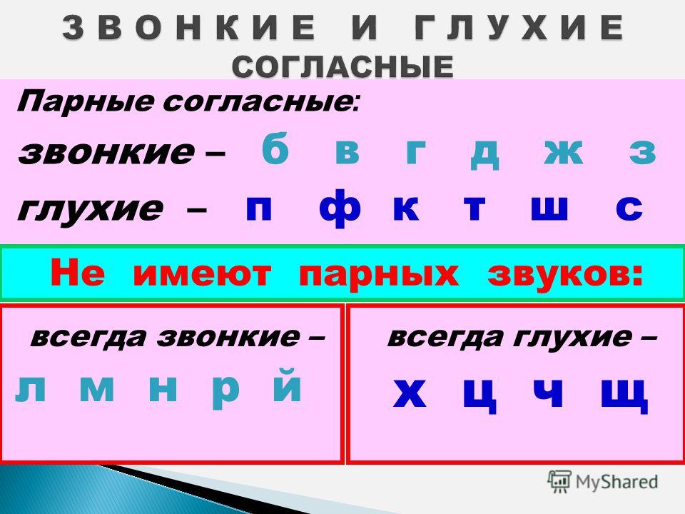 Всегда мягкие звуки согласные в русском языке. Буквы обозначающие звонкие согласные звуки 2 класс. Всегда глухие и звонкие согласные.