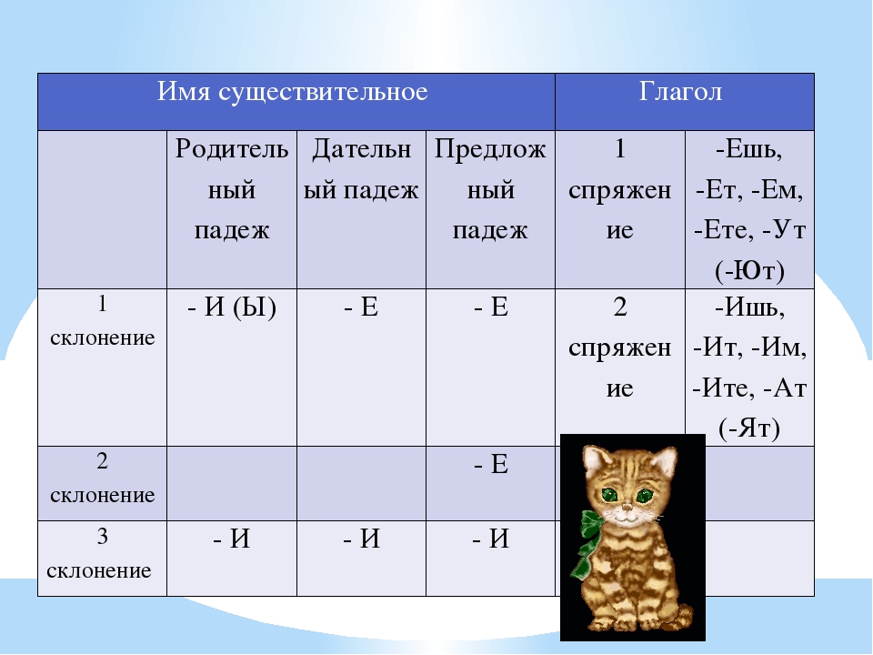 Склонения существительных в русском языке 5 класс. Спряжение глаголов склонение существительных. Определи склонение имён существительных. Спряжение существительных таблица. Как определить спряжение и падеж глагола.