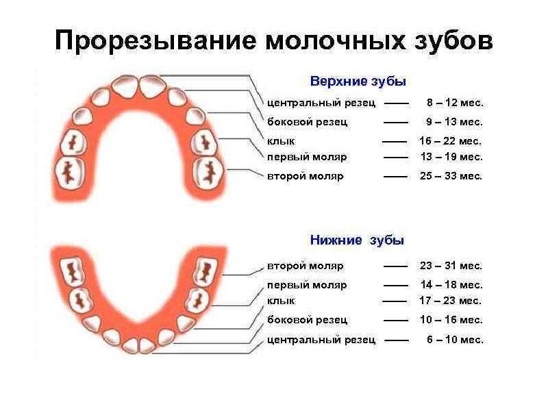 Класть зубы на полку значение